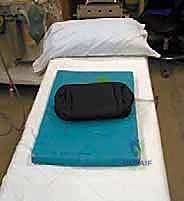 التركيب الهيكلي للفقرات القطنية