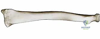 Diaphyseal Forearm Fractures: OR/IF Masterclass