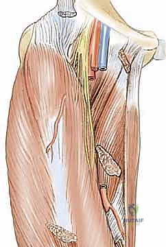 برنامج العلاج الطبيعي والتأهيل