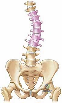 علامات الجنف أثناء الفحص السريري