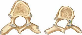 مقارنة التخطيط العلاجي
