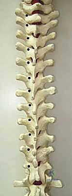 تشكيل القضبان المعدنية