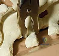 استخدام أدوات التصحيح المتقدمة