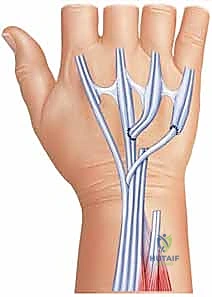 تثبيت الوتر في الموضع الجديد