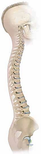 تشكيل ووضع القضيب الجراحي