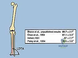 الهيكل العظمي للساق البعيدة