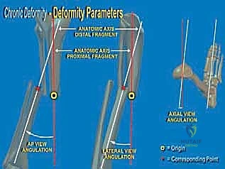 الأستاذ الدكتور محمد هطيف