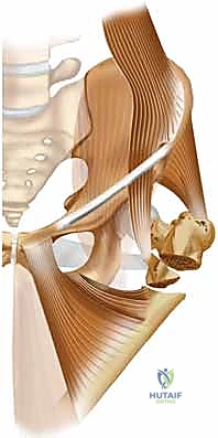 تجهيز المريض للعملية