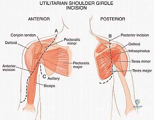 الأستاذ الدكتور محمد هطيف في غرفة العمليات