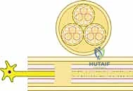 تحرير العصب الخارجي - خطوة 1