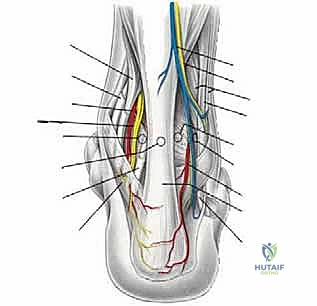 أسباب التهاب مفصل الكاحل المزمن