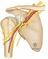 Pediatric Shoulder Fracture Management: An Intraoperative Masterclass
