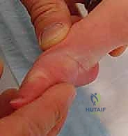 نظام تقييم بيراني