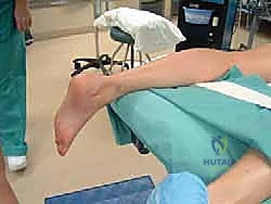 تشريح مفصل الكاحل الخلفي والأنسجة المحيطة به