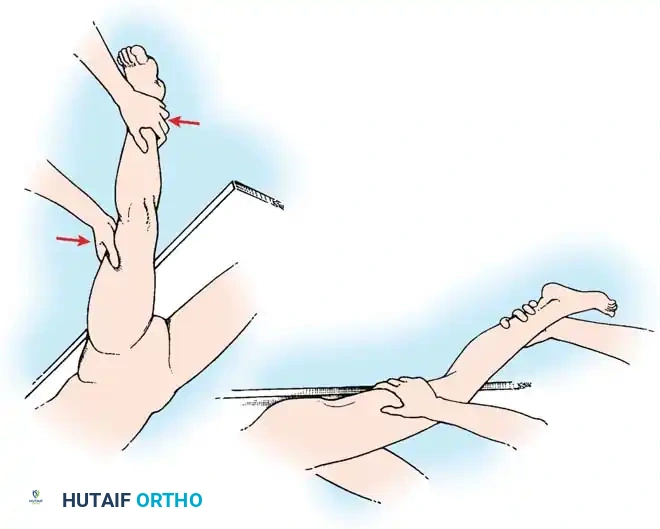 Hutaifortho's Orthopaedic Diagram