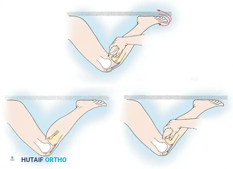 Hutaifortho's Orthopaedic Diagram