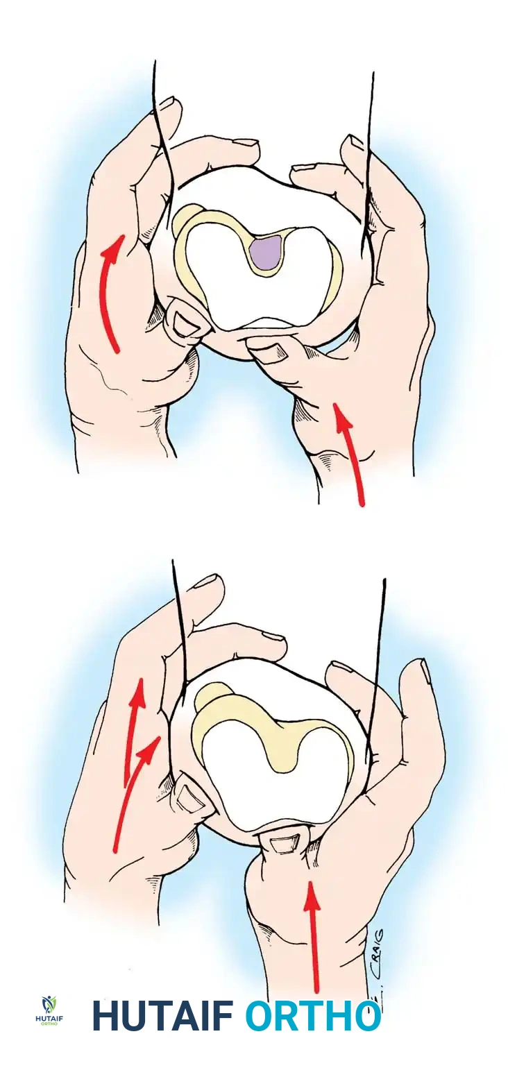 Hutaifortho's Orthopaedic Diagram