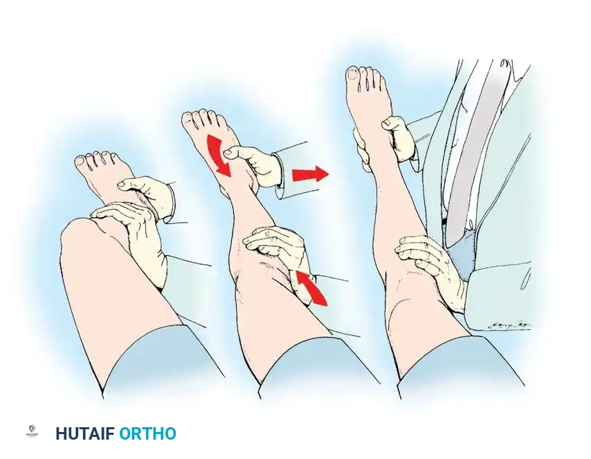 Hutaifortho's Orthopaedic Diagram