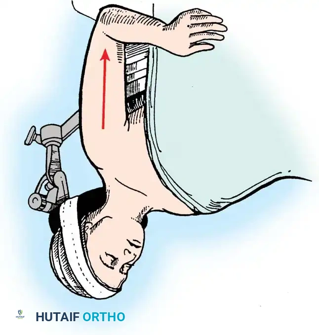 Hutaifortho's Orthopaedic Diagram