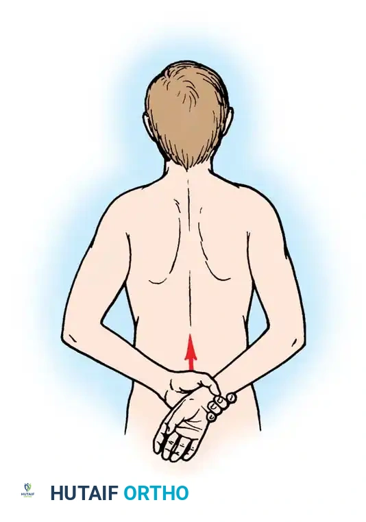 Hutaifortho's Orthopaedic Diagram