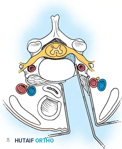 Hutaifortho's Orthopaedic Diagram