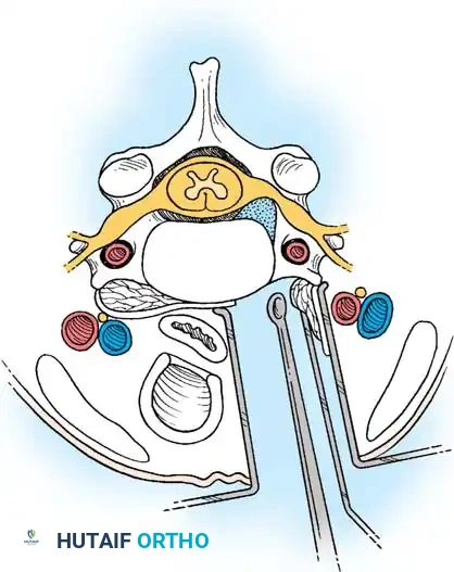 Hutaifortho's Orthopaedic Diagram