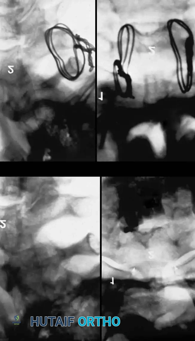 Hutaifortho's Orthopaedic Diagram