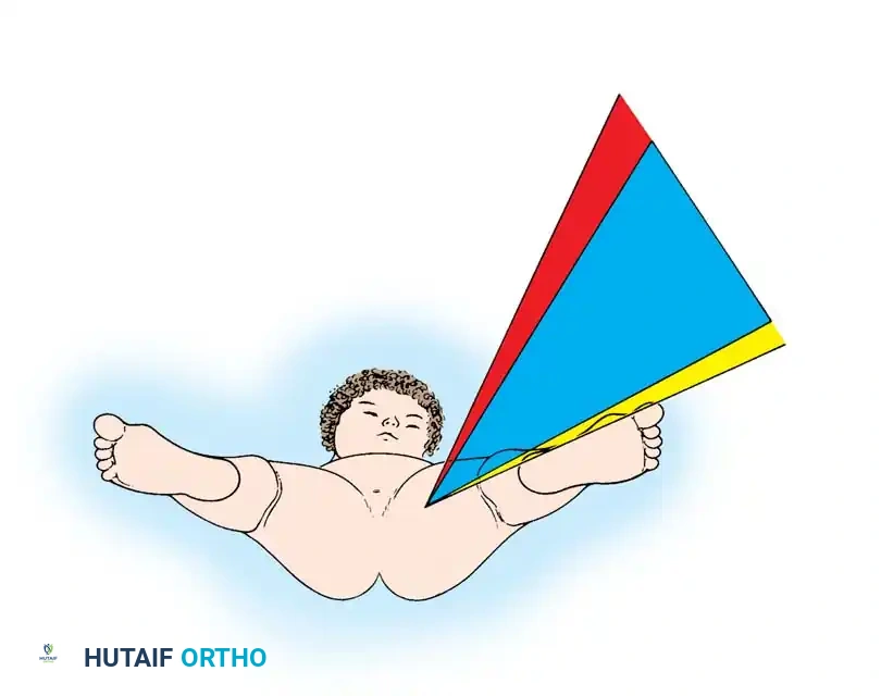 Hutaifortho's Orthopaedic Diagram