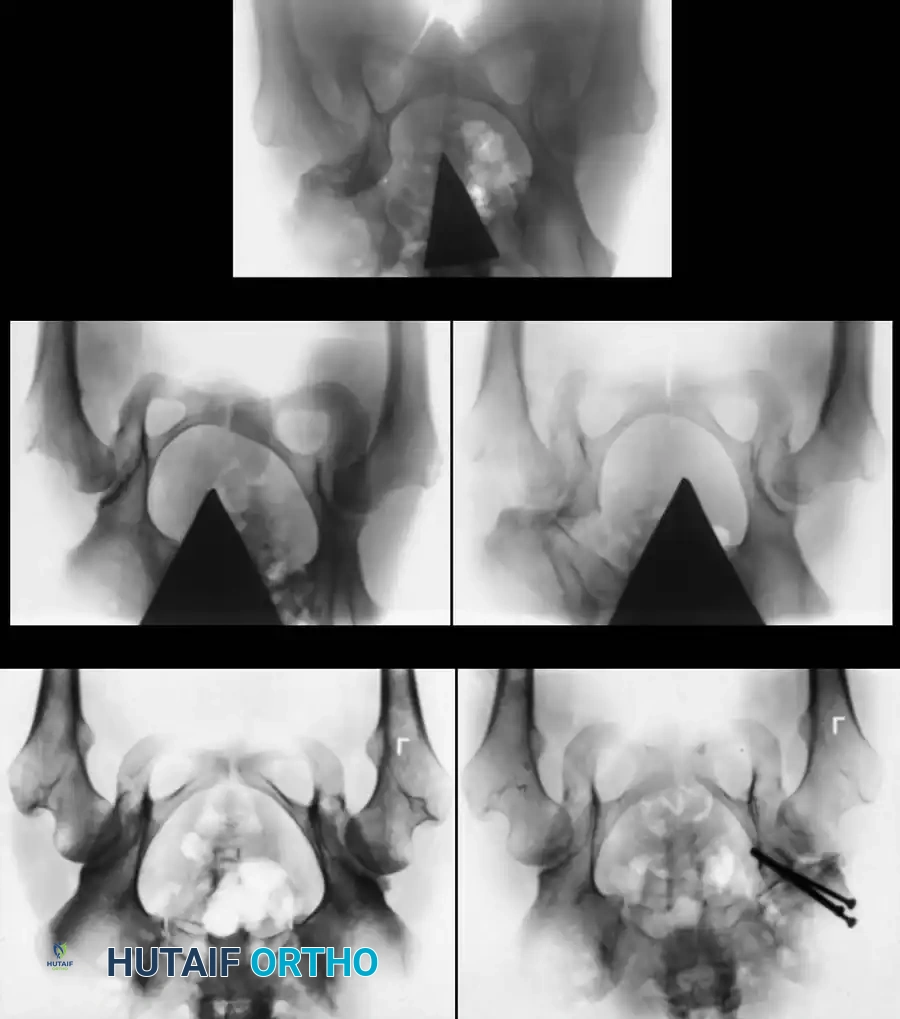 Hutaifortho's Orthopaedic Diagram