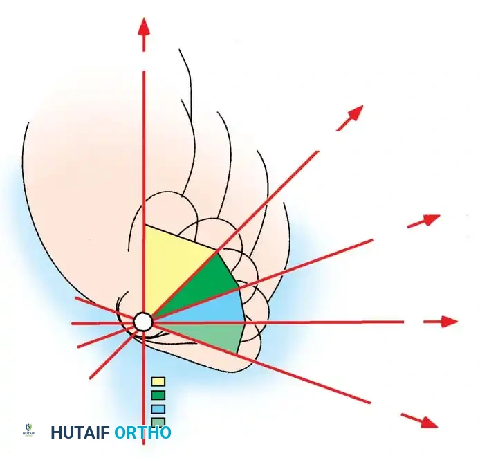 Hutaifortho's Orthopaedic Diagram