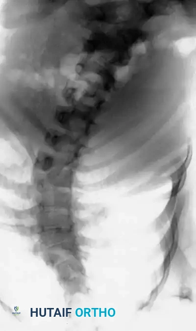 Hutaifortho's Orthopaedic Diagram