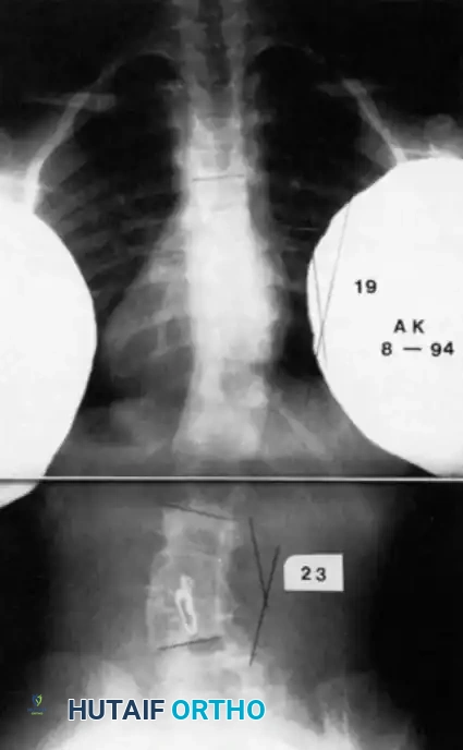 Hutaifortho's Orthopaedic Diagram