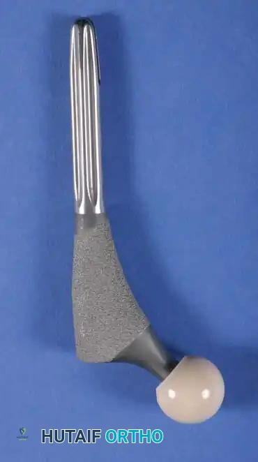 Hutaifortho's Orthopaedic Diagram