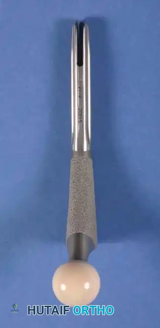 Hutaifortho's Orthopaedic Diagram