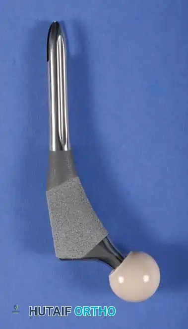 Hutaifortho's Orthopaedic Diagram