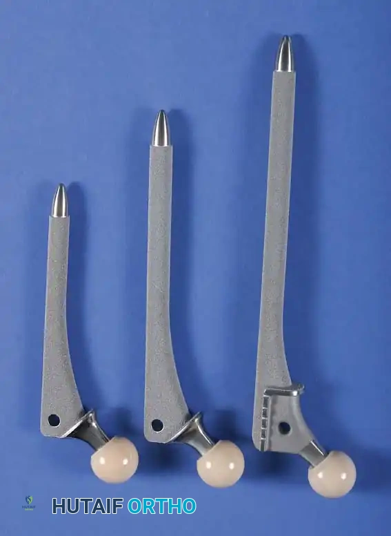 Hutaifortho's Orthopaedic Diagram