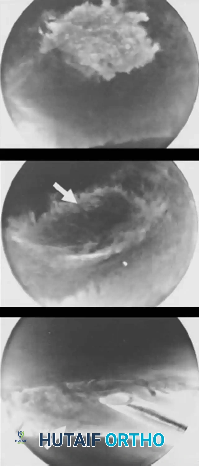 Hutaifortho's Orthopaedic Diagram