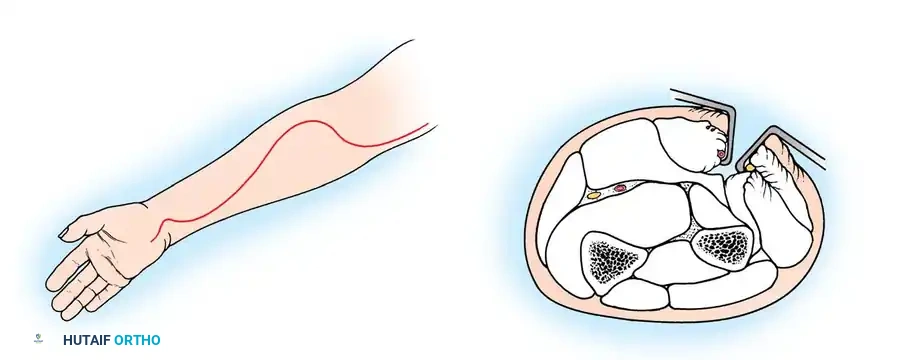 Hutaifortho's Orthopaedic Diagram