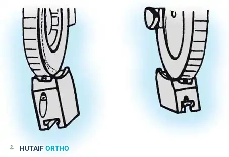 Hutaifortho's Orthopaedic Diagram