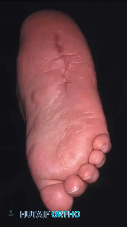 Hutaifortho's Orthopaedic Diagram