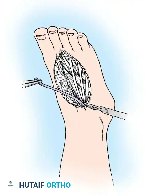 Hutaifortho's Orthopaedic Diagram
