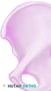 Anterior column Posterior column Posterior column