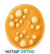 Polyfascicular with group arrangement