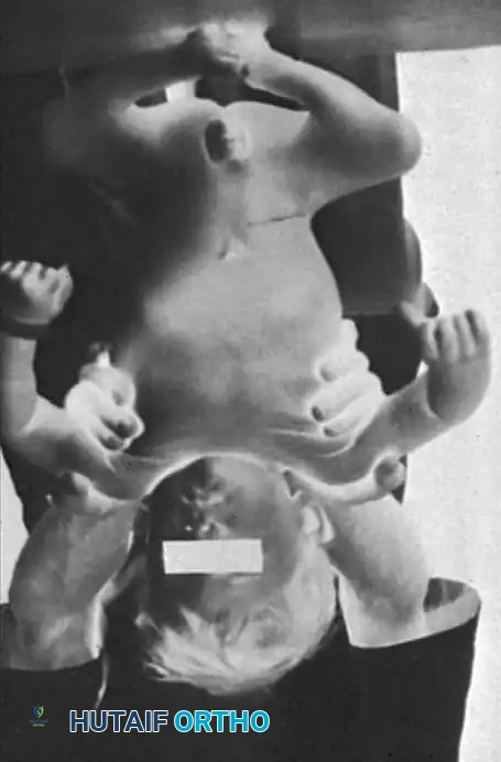 Hutaifortho's Orthopaedic Diagram