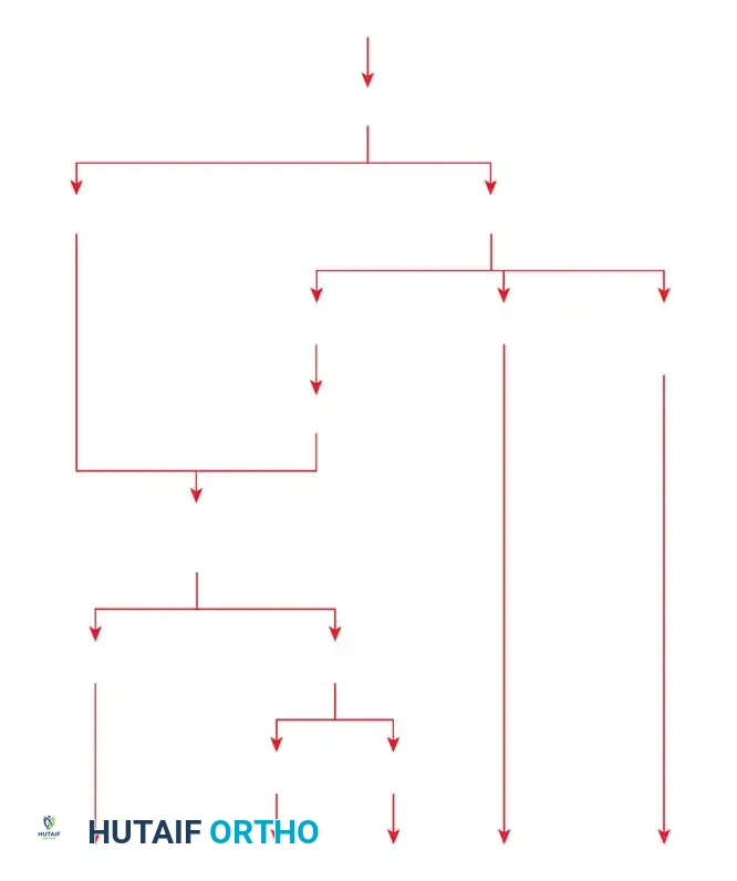 Operative Management of Muscular Dystrophy: A Comprehensive Orthopaedic Guide