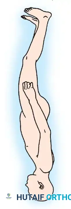 Hutaifortho's Orthopaedic Diagram