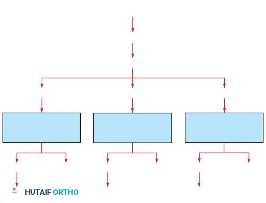 Bacteria lodge in capillary loop