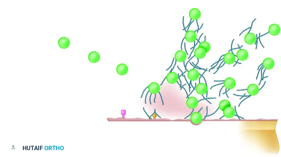 Masterclass in Open Fractures: Surgical Management & Limb Salvage