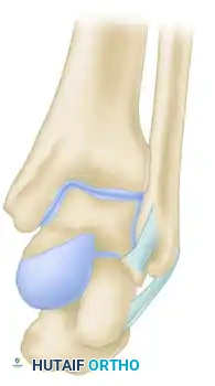 Neutral Eversion Inversion