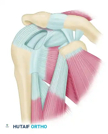 Marginal Convergence